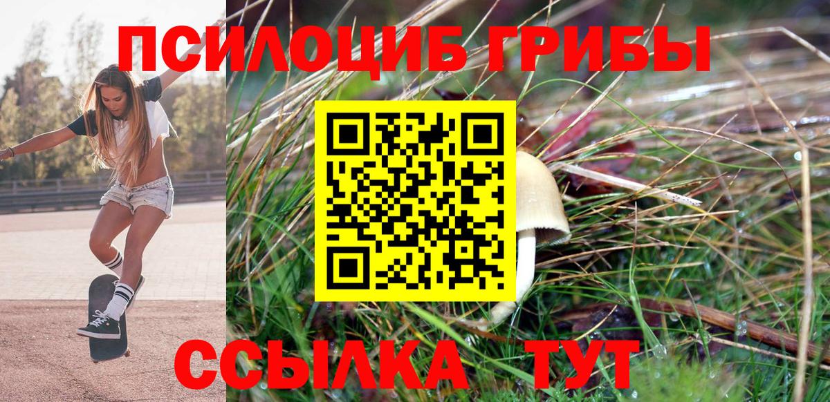 Галлюциногенные грибы Cubensis  Вход с VPN  Коломна 